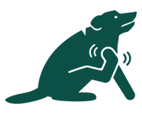 Optimale darmgezondheid voor jouw hond