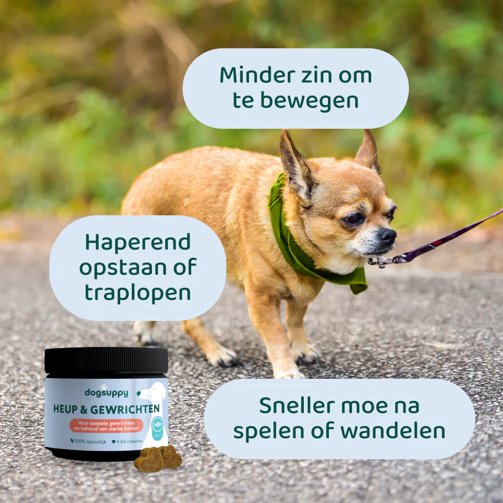 Productafbeelding 6