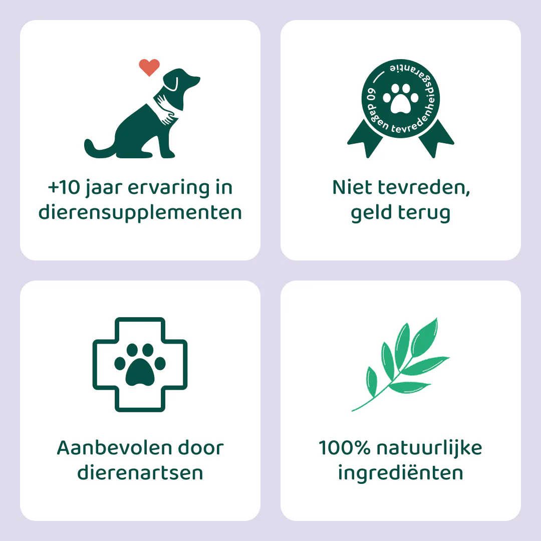 Productafbeelding 3