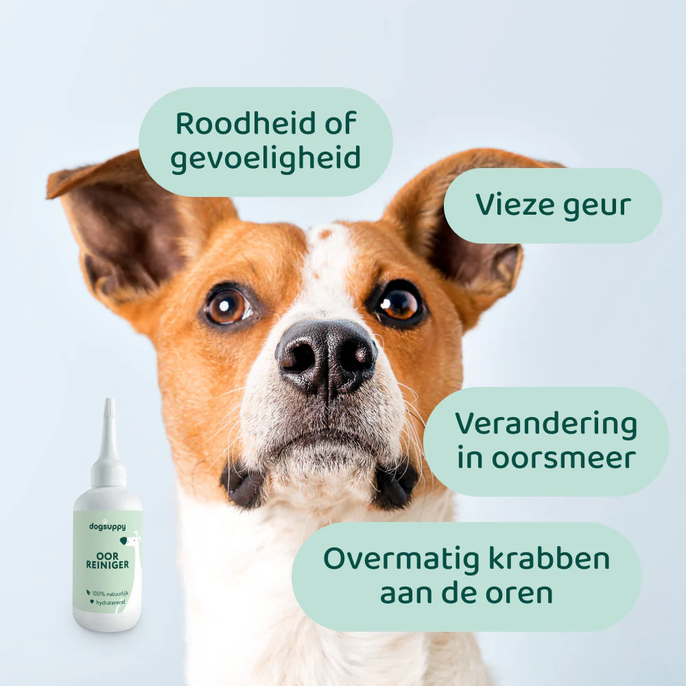 Productafbeelding 5