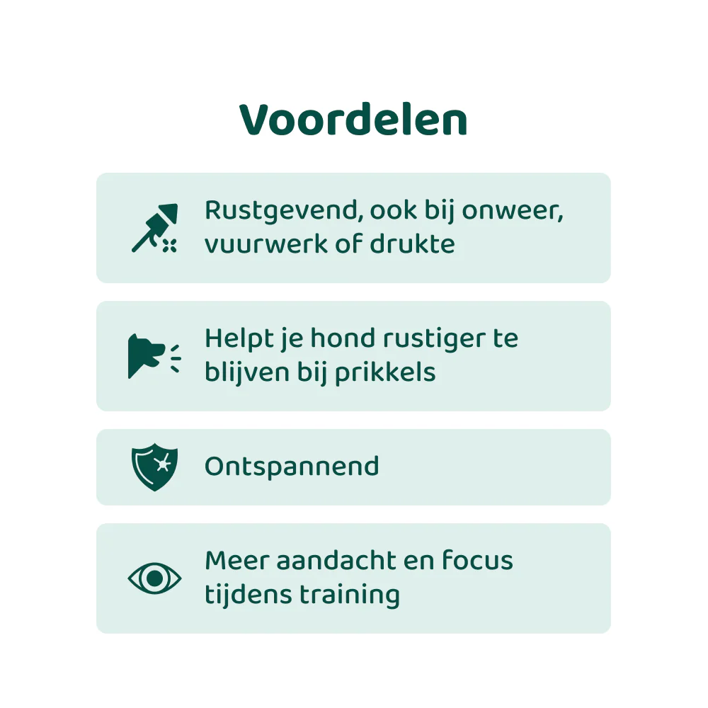 Productafbeelding 4