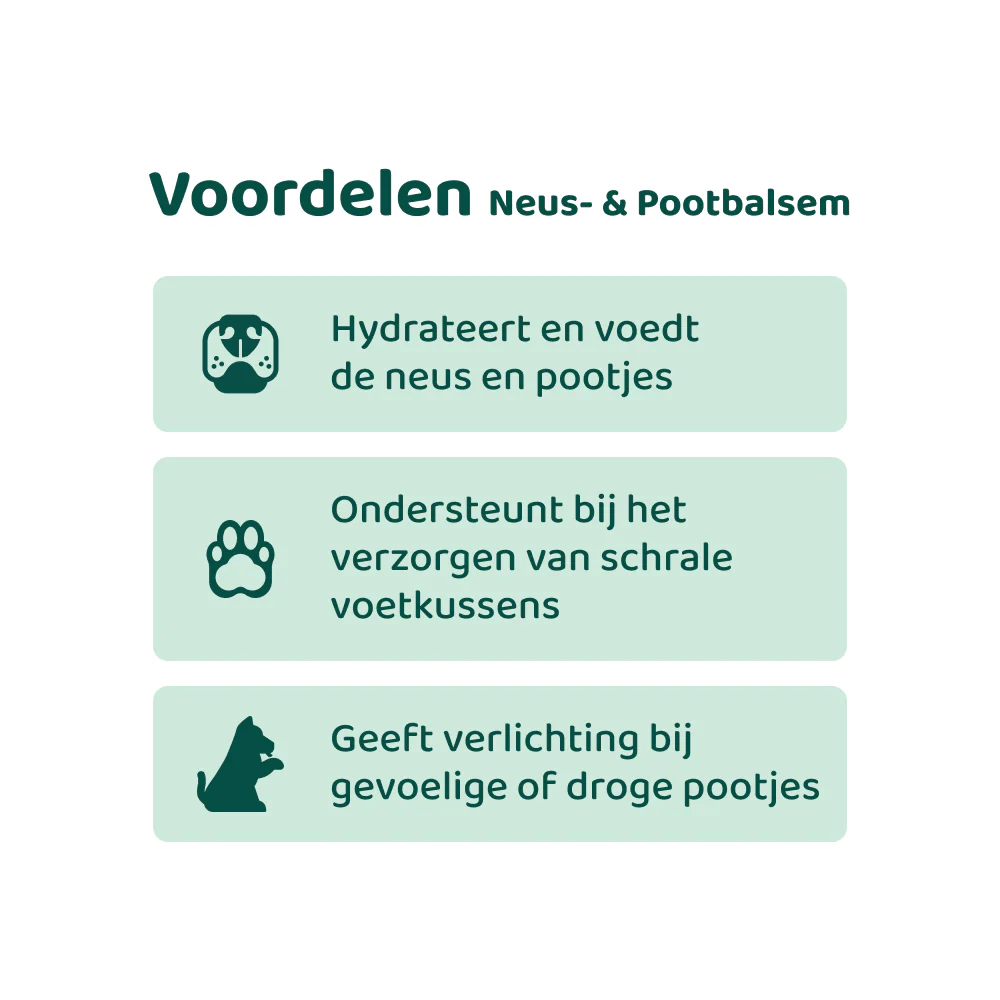 Productafbeelding 6