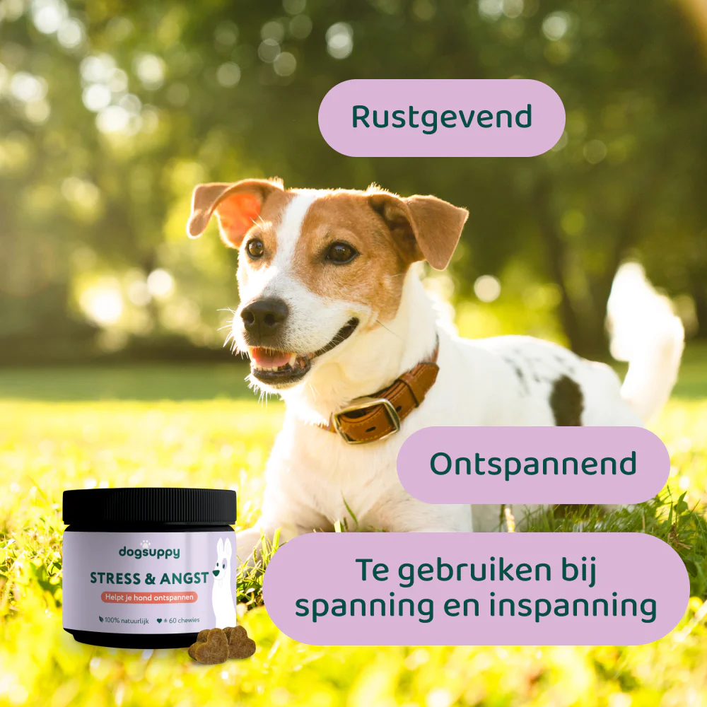 Productafbeelding 6