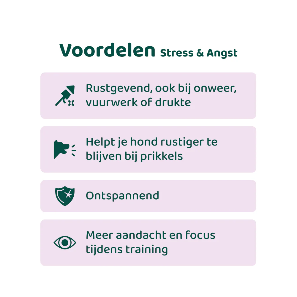Productafbeelding 8