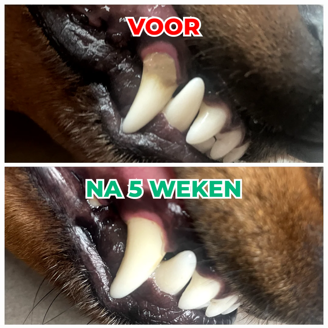 Productafbeelding 5