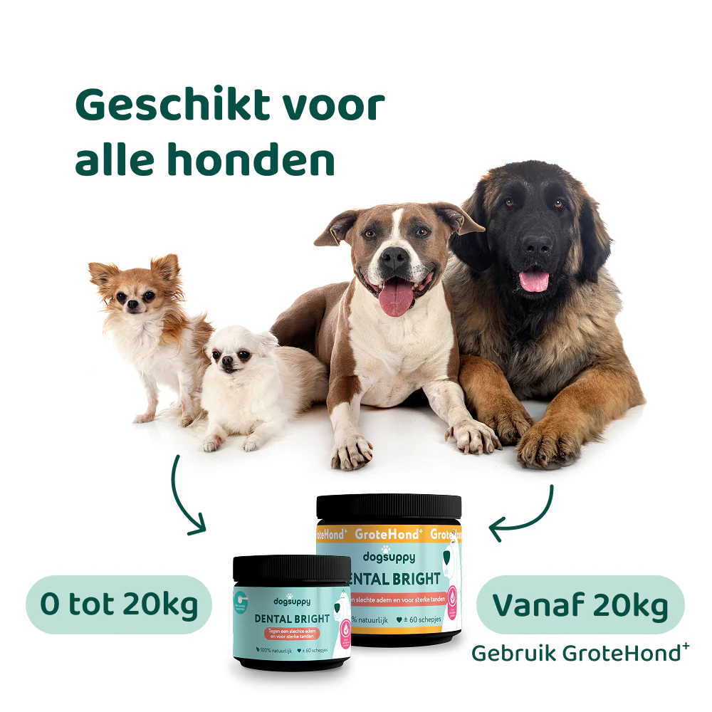 Productafbeelding 12