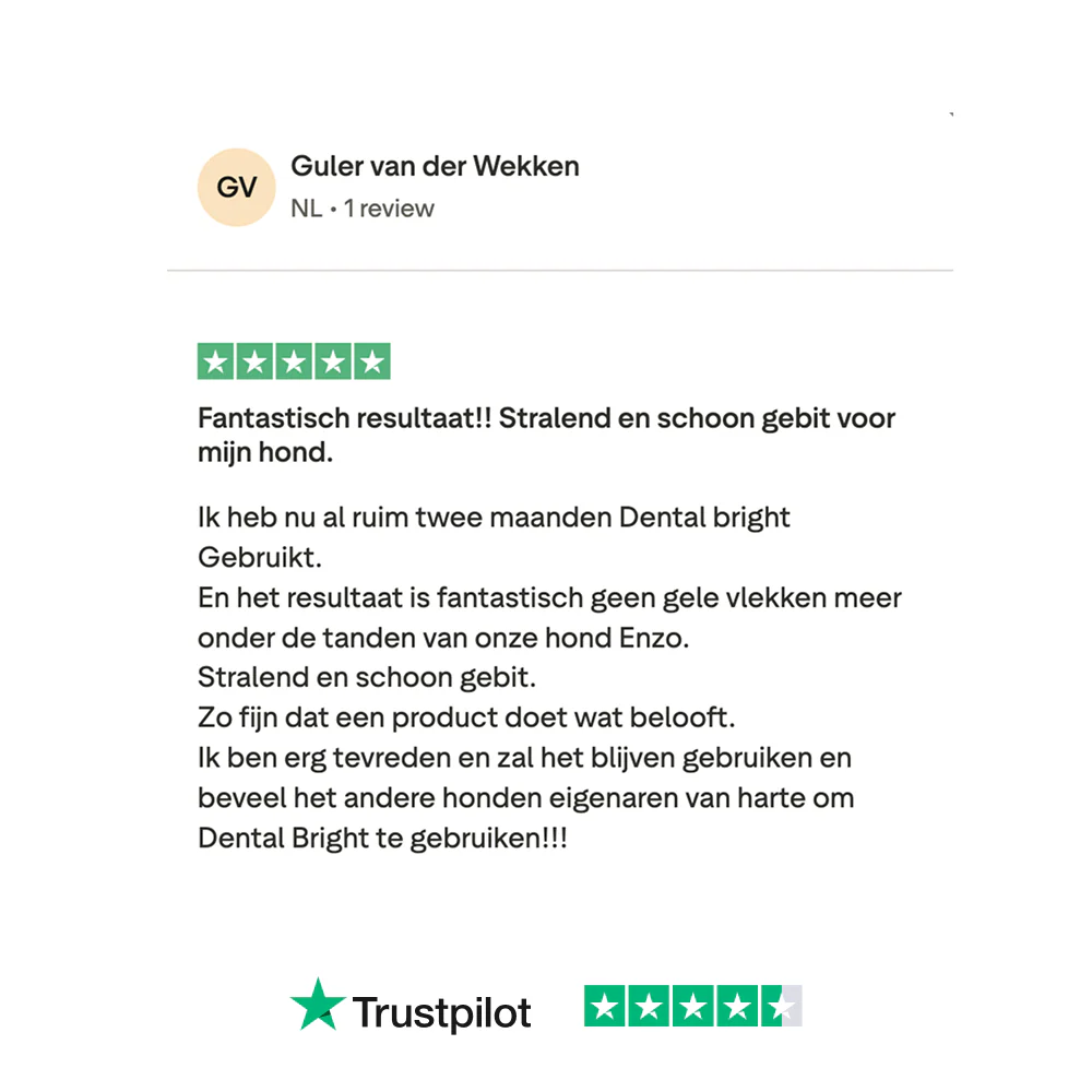 Productafbeelding 13