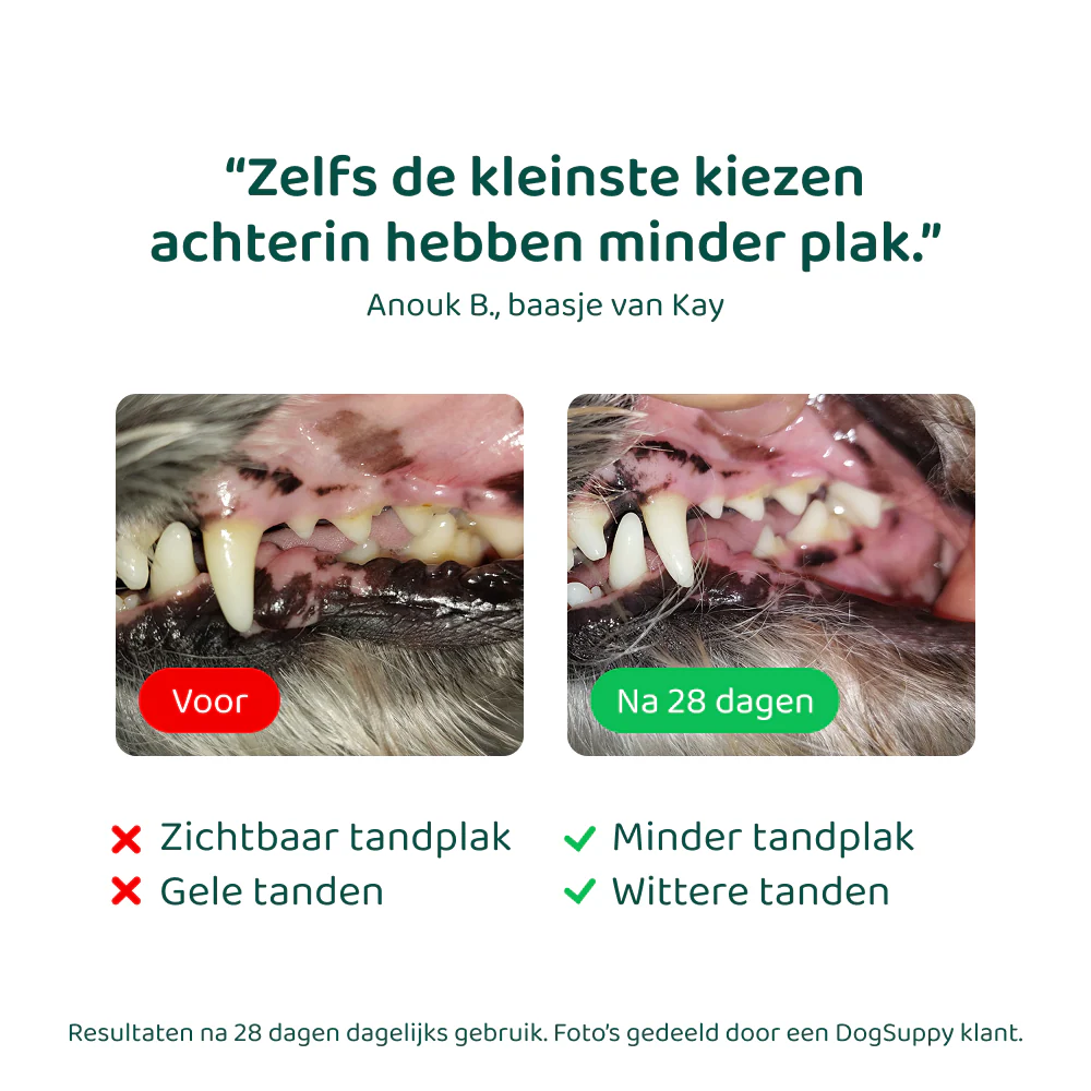 Productafbeelding 7