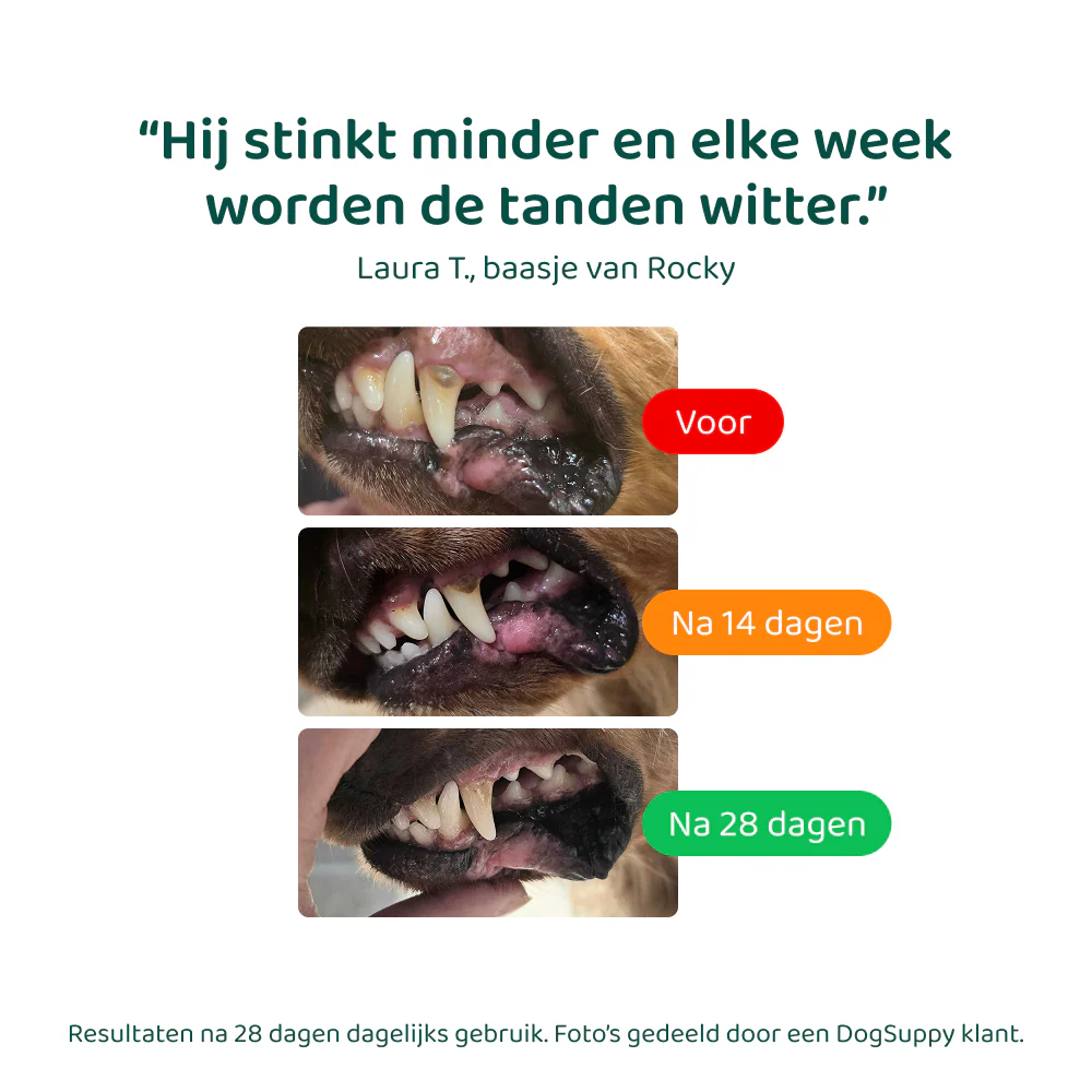 Productafbeelding 8