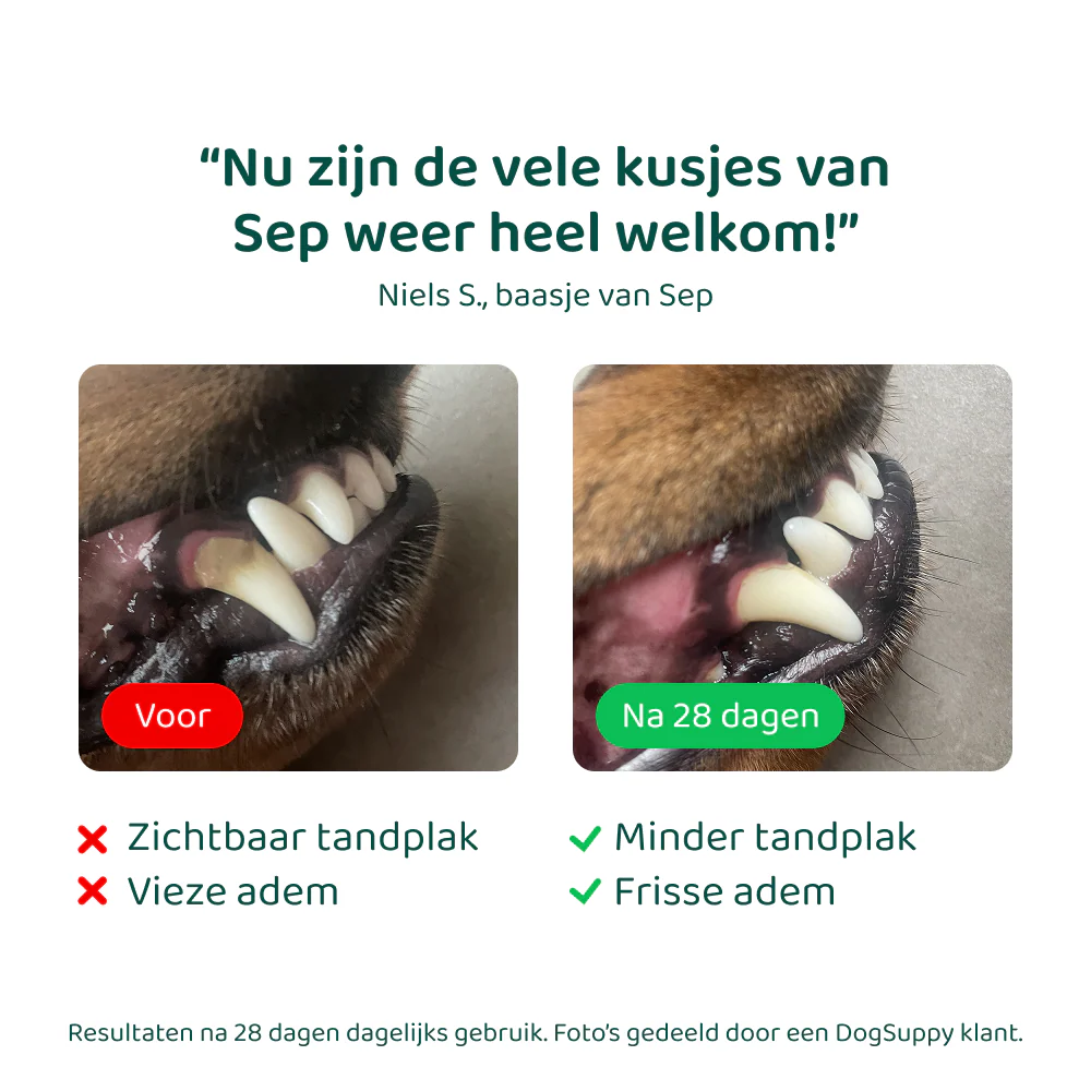 Productafbeelding 9