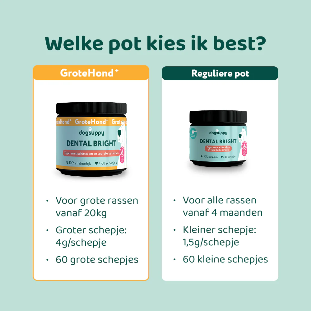 Productafbeelding 15