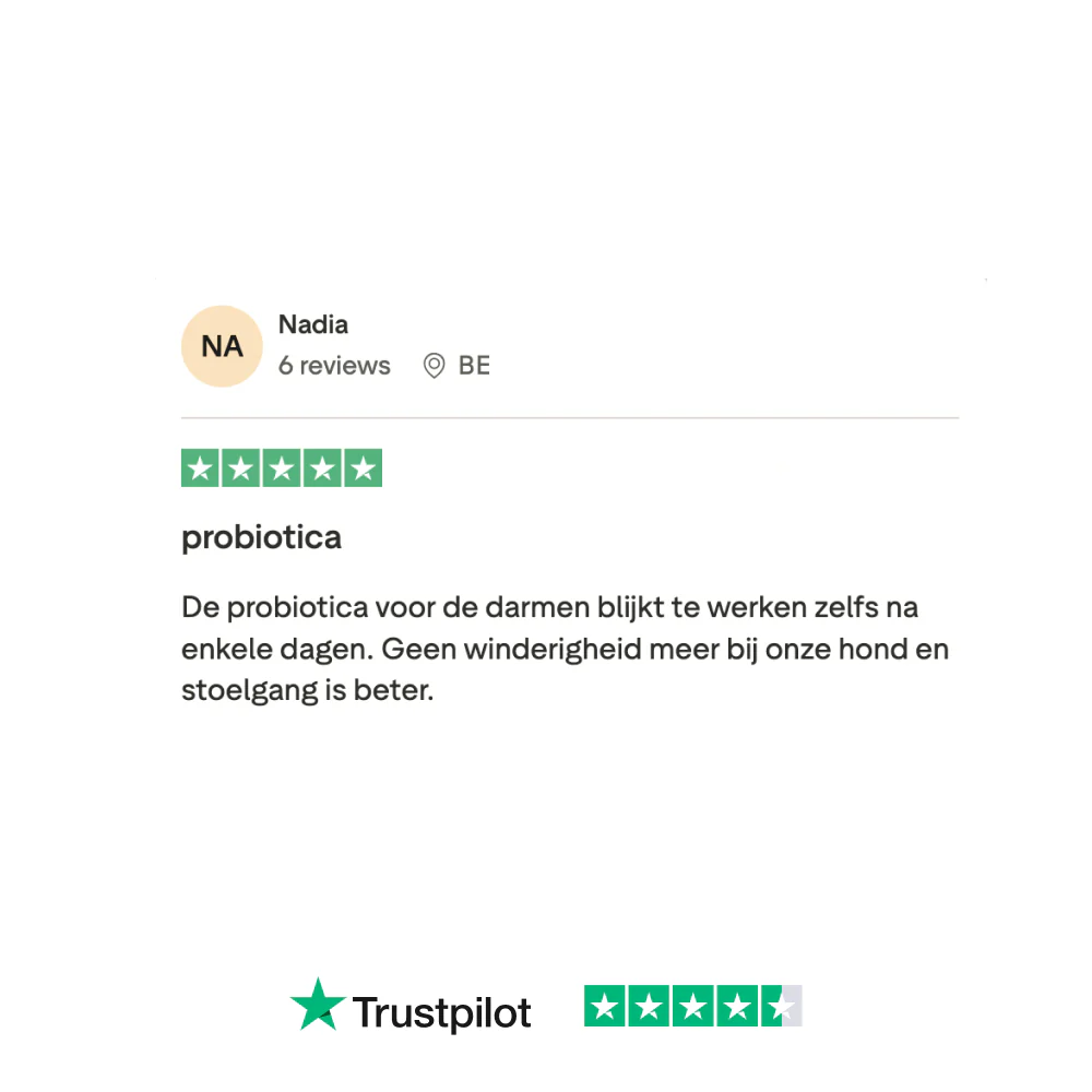 Productafbeelding 8