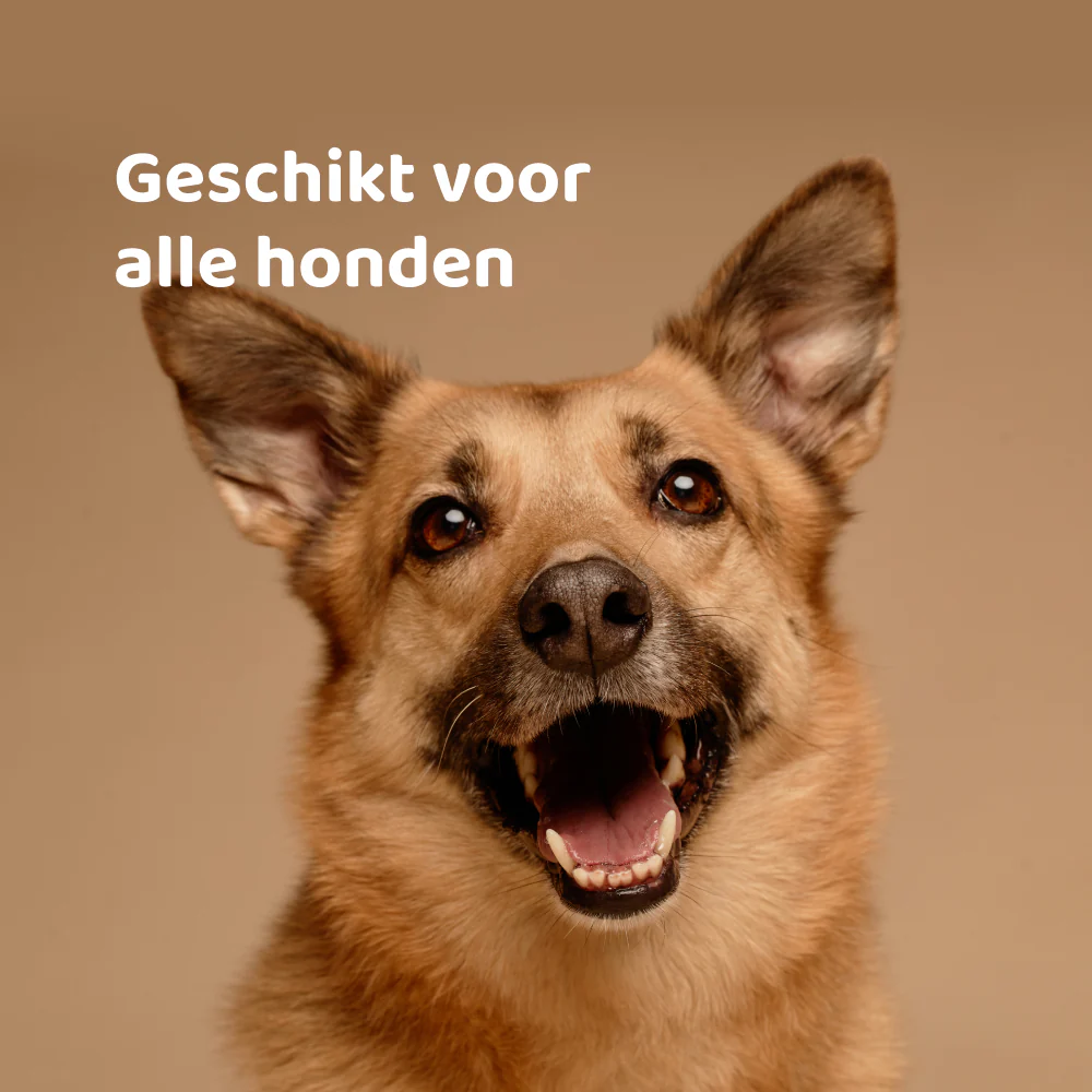 Productafbeelding 4