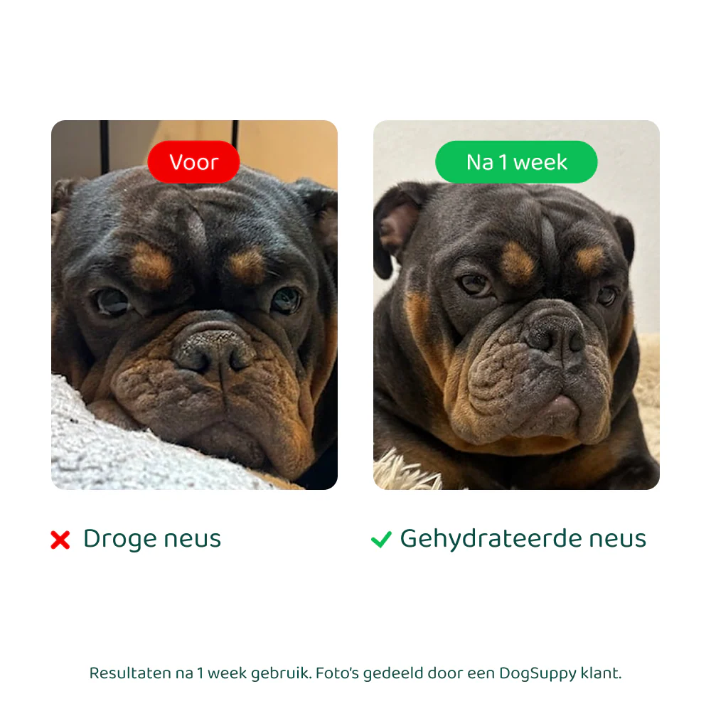 Productafbeelding 6
