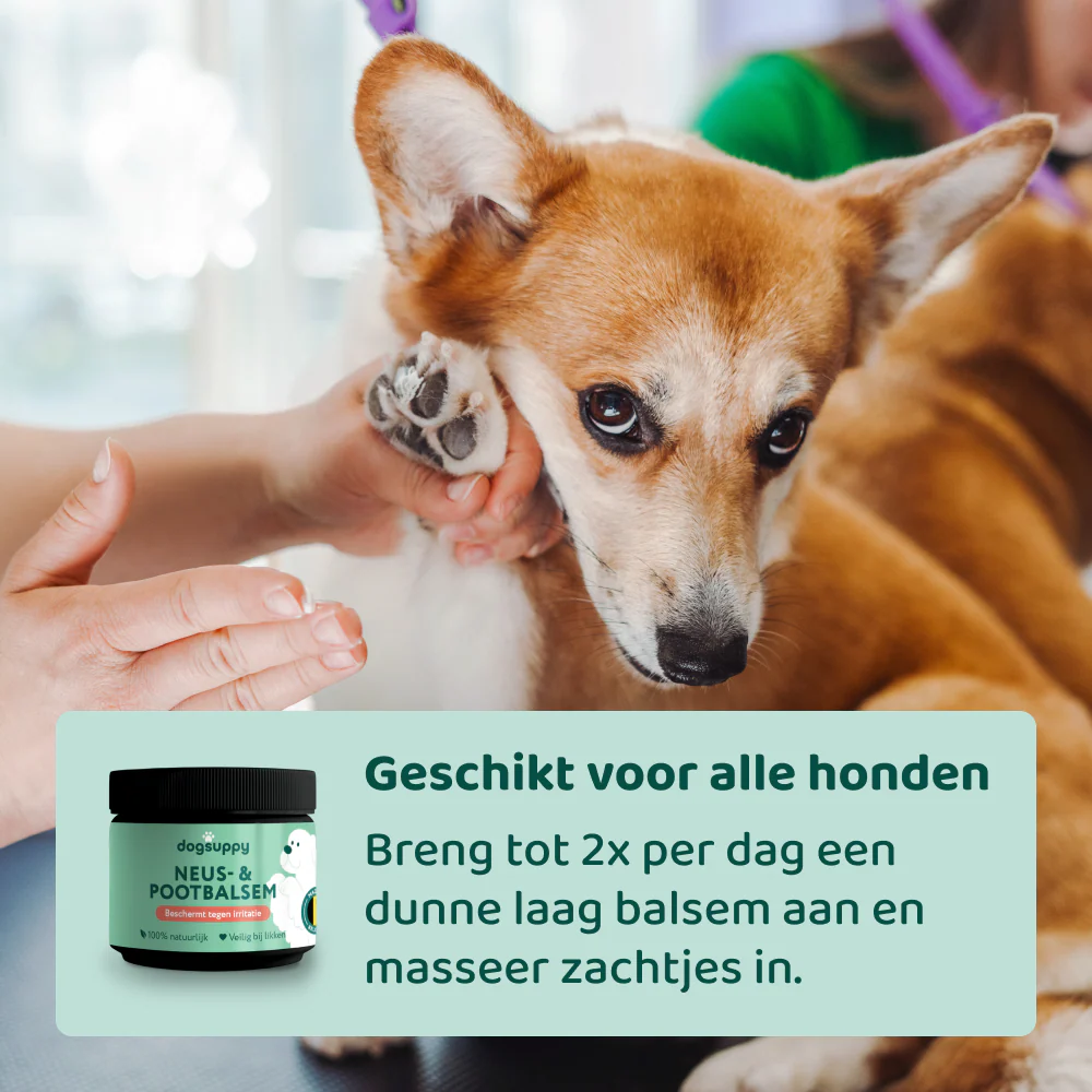 Productafbeelding 7