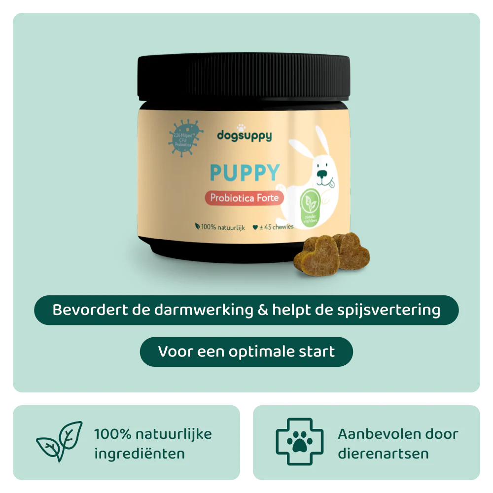 Onze supplementen