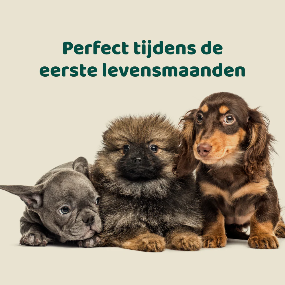 Productafbeelding 7