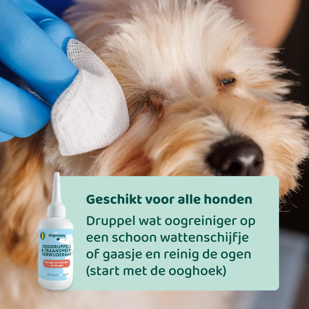 Productafbeelding 5