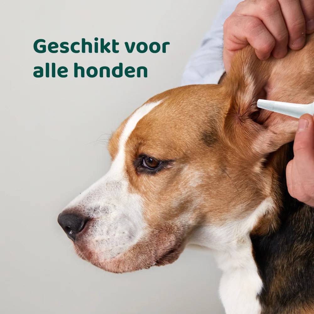 Productafbeelding 5