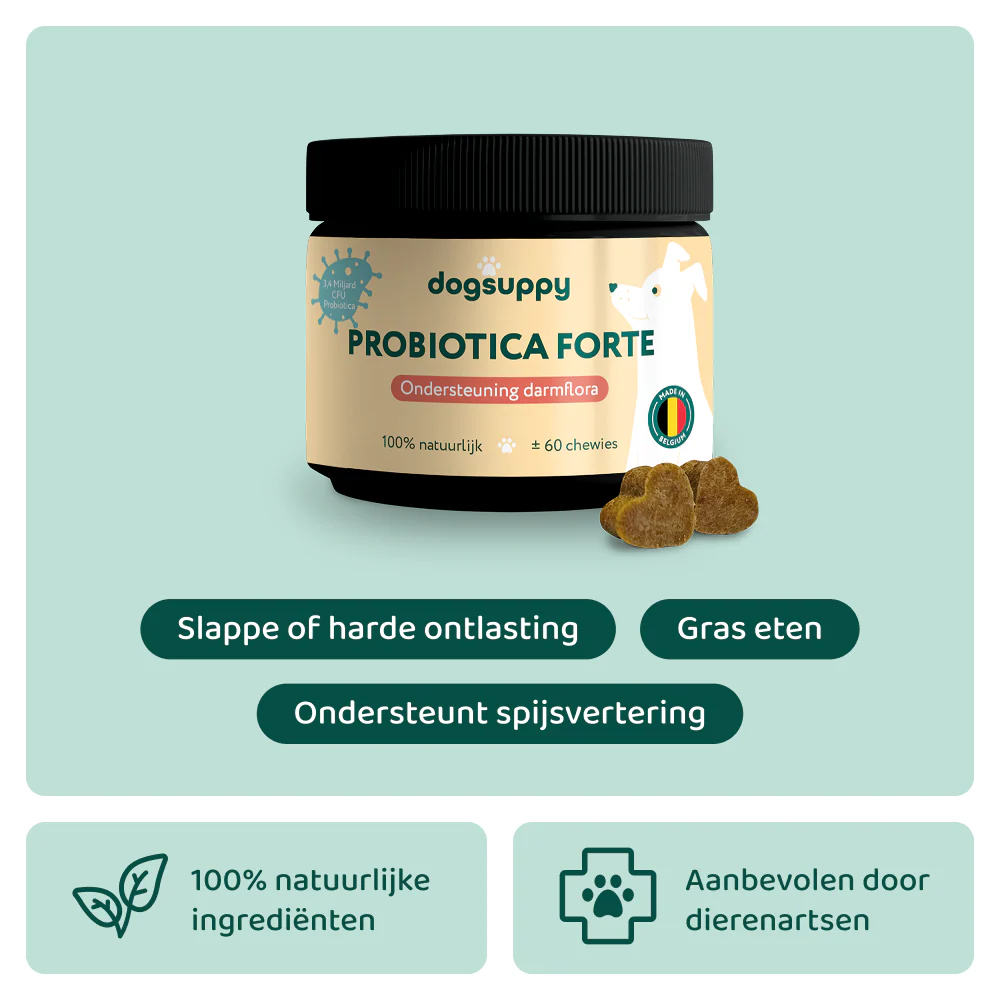 Productafbeelding 1