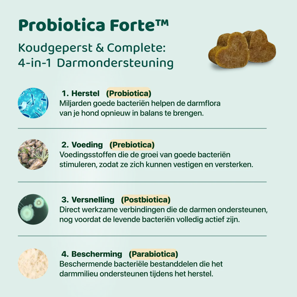 Productafbeelding 5