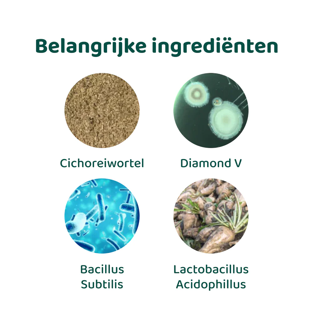 Productafbeelding 7