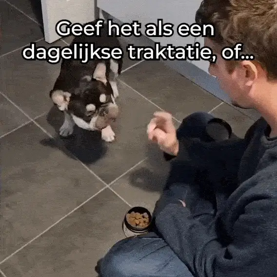 Productafbeelding 13