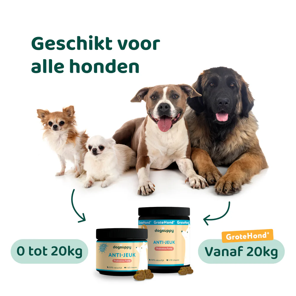 Productafbeelding 9